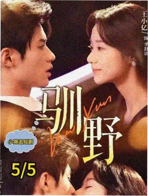 铜钟巷 电视剧海报